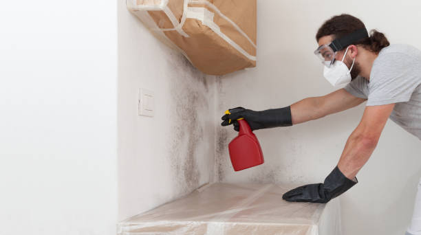 Professional Mold Remediation technician working in Lancaster, VA