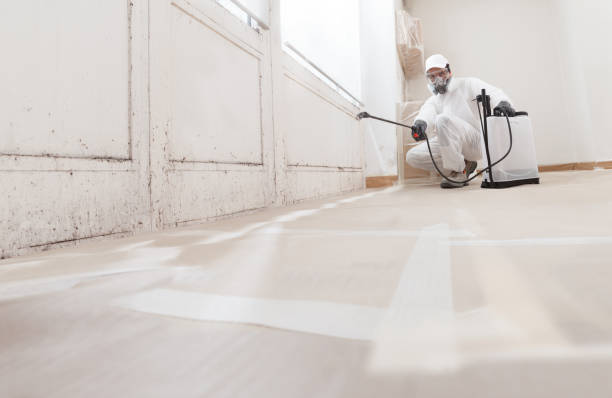 24/7 Emergency Mold Remediation experts in Lancaster, VA