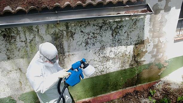 Top rated local Mold Remediation specialists in Lancaster, VA